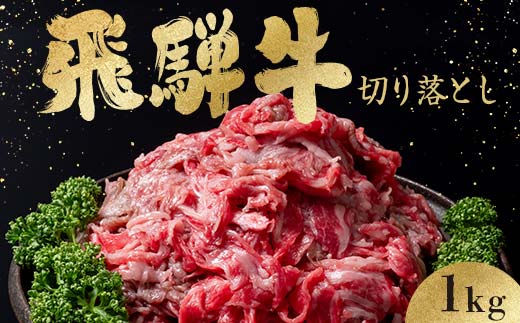 「肉の芸術品」飛騨牛切り落とし（モモ、肩、バラ）1kg（250g×4）【用途は様々！焼肉、BBQ、すき焼き、煮物、牛丼、炒め物など】 F4N-2858