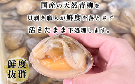 岬だよりの【貝専門店】天然の青柳小柱　250g×2袋【配送不可地域：離島】【1469652】