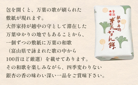 ぎんなん餅 6個 ぎんなん餅本舗おがや 富山県 氷見市 和菓子 銀杏 お茶請け 冠婚葬祭 ギフト プレゼント