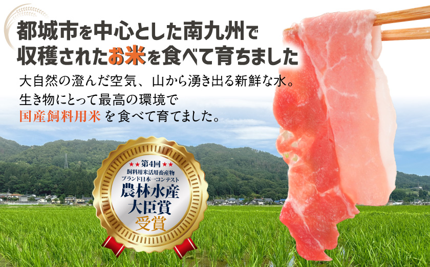 お米豚3.7kgセット≪みやこんじょ快速便≫_23-3101-R_(都城市) 豚肉 豚ロース 豚こま切れ 豚バラ肉 豚肩ロース ブランド豚 小分け シート仕切り スライス肉 14日以内にお届け  ギャ