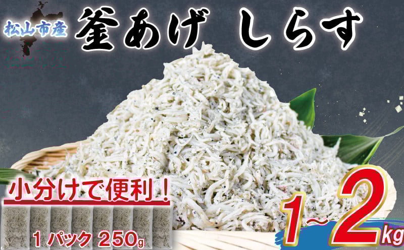 
            カテゴリーランキング1位獲得!! 釜揚げ しらす  【訳あり】1kg~2kg 【家庭用】1.5kg 【贈答用】1.25kg |  訳ありしらす 不揃いシラス 国産しらす 冷凍シラス 釜揚げしらす シラス丼 海の幸 松山市産しらす 愛媛県産シラス しらす シラス 釜揚げしらす 惣菜 弁当 簡単調理 加工品  しらす丼 グルメ 食品 魚介 小魚 しらす 魚 鮮魚 海鮮  シラス  愛媛県 松山市
          