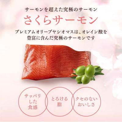 ふるさと納税 さくら市 【国産高級サーモン】【皮なしフィレ冷燻 約160g×7枚】 |  | 02