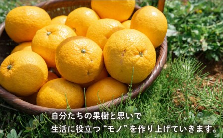 【全3回定期便】農香 ばぁむ クリーム 糸島市 / わかまつ農園[AHB026] 保湿クリーム しっとりクリーム スキンケア ハンドケア