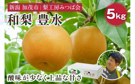 【2026年先行予約】新潟県産 和梨 豊水 5kg（10～16玉）《9月上旬以降発送》ほうすい 果物 フルーツギフト 秋の味覚 加茂市 梨工房みつば会