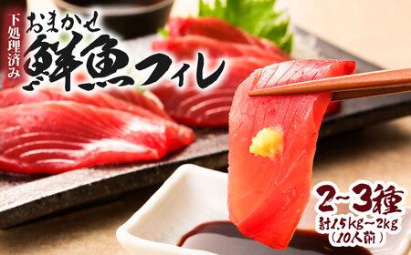下処理済 おまかせ鮮魚フィレ(かつお、ぶり、かんぱち、ネイリ、鯛、ひらめなど) 2~3種 約1.5kg~2kg(10人前) 【R01341】