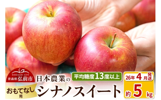 【26年4月クール便発送】りんご【CA貯蔵】平均糖度13度以上！ シナノスイート 約5kg おもてなし用 クール便 青森 果物 フルーツ 林檎 リンゴ くだもの [リンゴ 林檎 アップル 果物 産地直送 フルーツ]