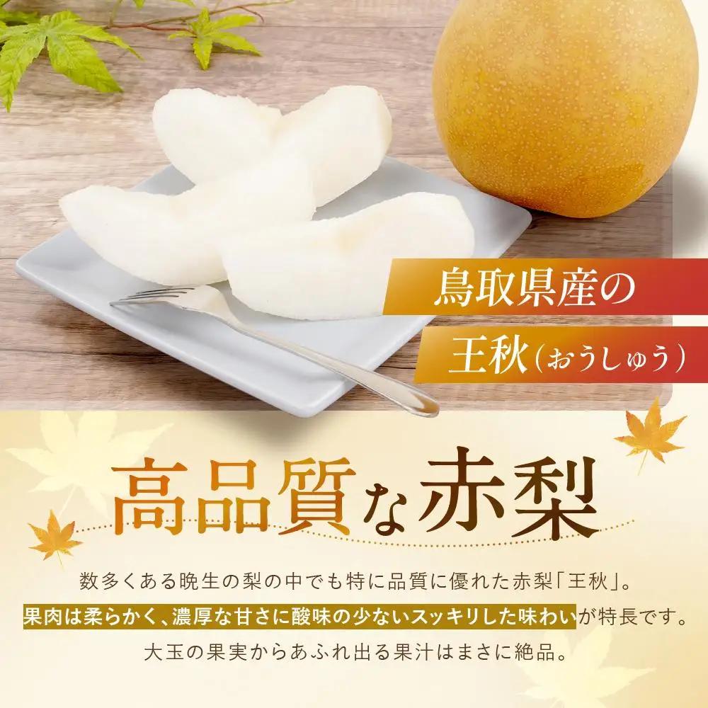王秋 3.5kg 5～6玉 先行予約 数量限定 鳥取県産 梨 梨