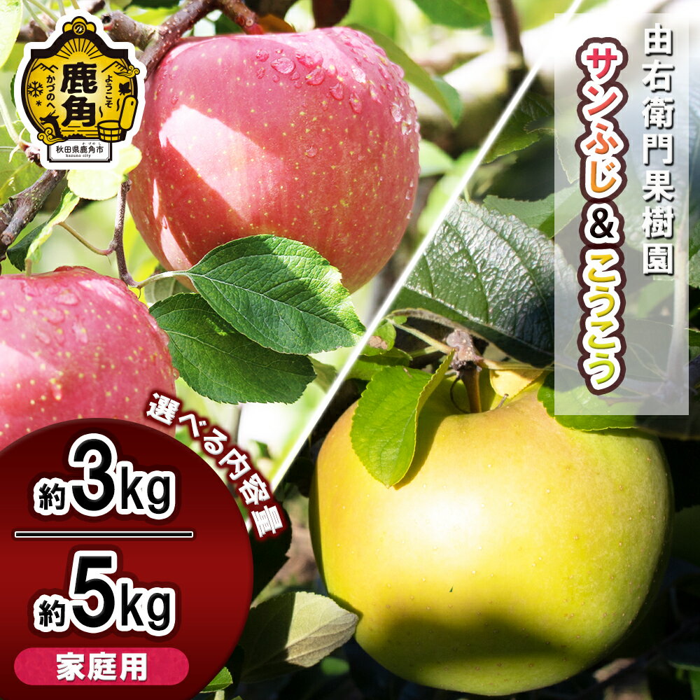 【ふるさと納税】 《 先行予約 》 由右衛門果樹園 りんご 家庭用 「 サンふじ ＆ こうこう 」 約 3kg / 約 5kg 詰め合わせ セット 果汁 リンゴ 完熟 お中元 お歳暮 贈り物 グルメ 秋田 あきた 鹿角市 鹿角 送料無料 【由右衛門果樹園】●2025年11月下旬発送開始