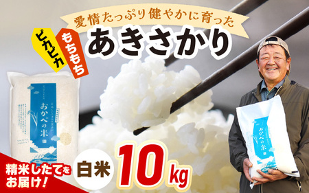 【先行予約】令和7年産 愛情たっぷり健やかに育った ピカピカ もちもち あきさかり（白米）10kg【2025年10月上旬以降順次発送予定】 [m29-a017] 