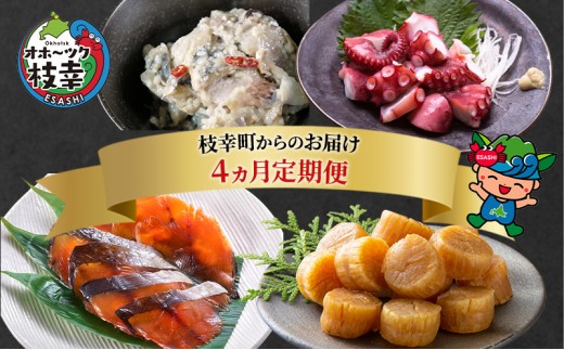 
                  北海道枝幸町からのお届け おつまみにどうぞ！ 定期便4【 ホタテ 貝柱 サクラマス トバ にしん 味付 たこ 北海道 オホーツク 枝幸 】 
                