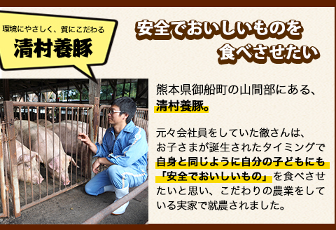 上ロースしゃぶしゃぶ 600g 清村養豚《60日以内に出荷予定(土日祝除く)》 豚 ロース しゃぶしゃぶ 冷しゃぶ ---sm_fkyjrsya_60d_22_11000_600g---