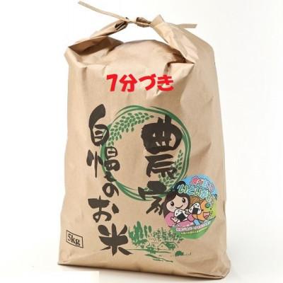 ふるさと納税 糸魚川市 新潟県産 糸魚川産 令和7年産 コシヒカリ 100% 精米 5kg 7分づき 新米