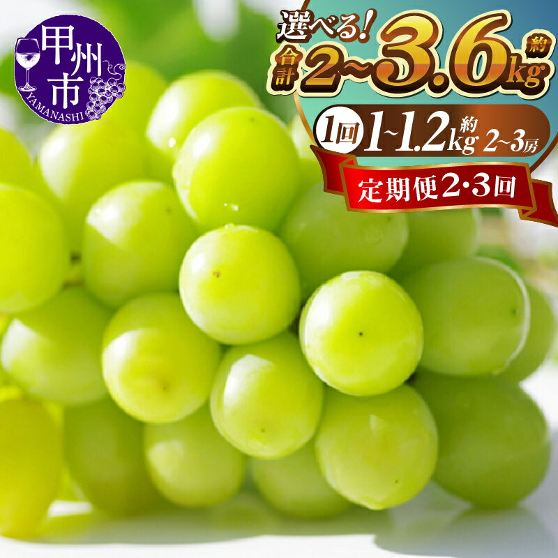【定期便】シャインマスカット フルーツ 果物 ぶどう シャイン 産地直送 新鮮 1.2kg　2房 3房 3回定期便 計3.6kg 夏 秋 旬 贈答 山梨県 甲州市【2024年発送】（KSF）