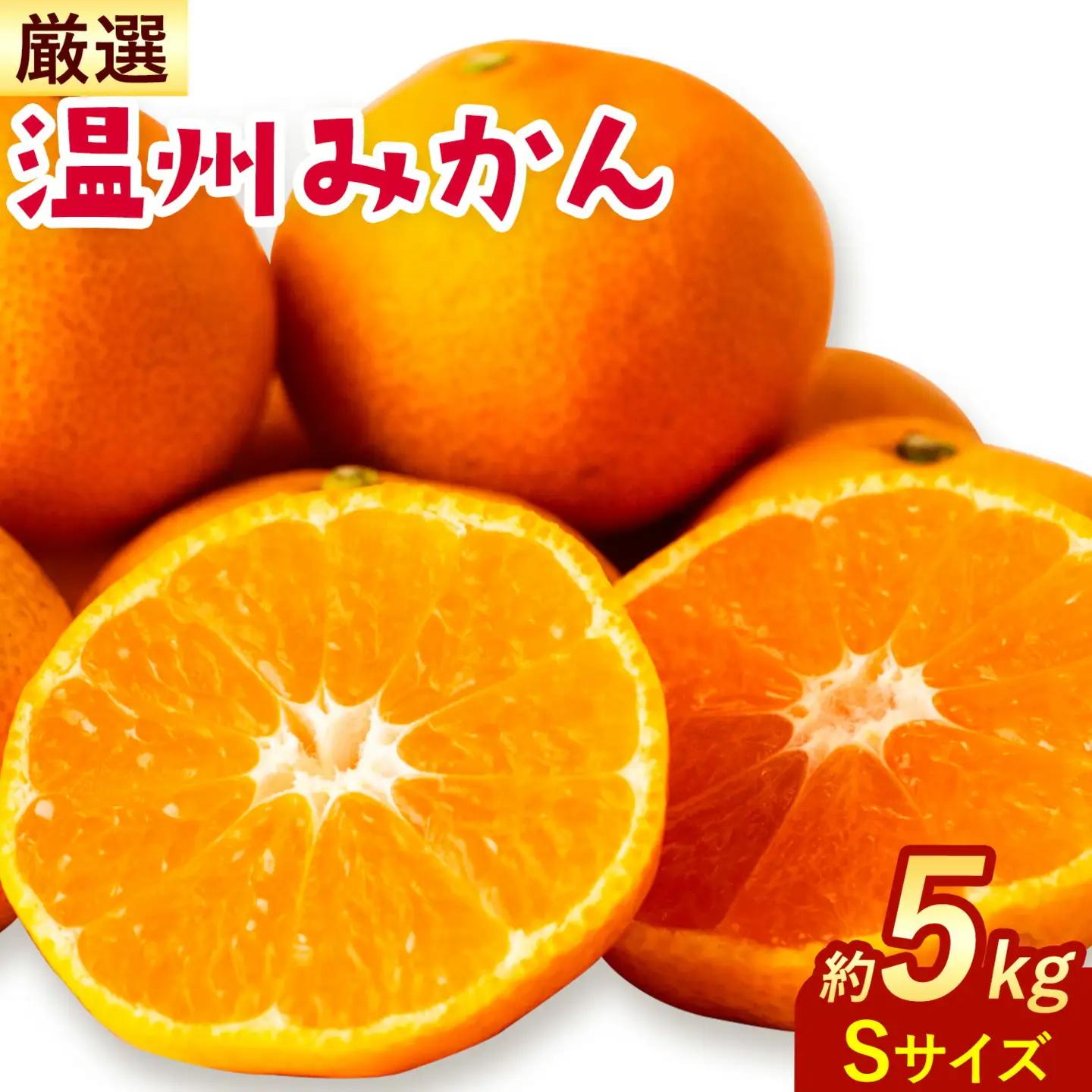 温州みかん 厳選 5kg Sサイズ 小玉みかん GOGO農園 みかん