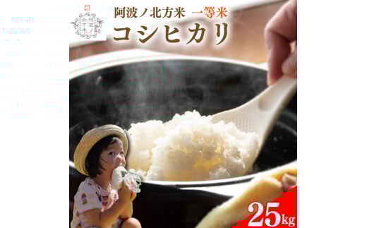 【 単品 25kg 】コシヒカリ 令和7年産 阿波ノ北方米 1等 米 こめ ご飯 ごはん おにぎり 精米 卵かけご飯 食品 備蓄 備蓄米 保存 防災 ギフト 贈答 プレゼント お取り寄せ グルメ 送料無料 徳島県 阿波市 阿波ノ北方農園