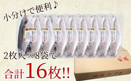 J6022_和歌山産 サバ干物 フィレ 16枚 (2枚×8袋) セット