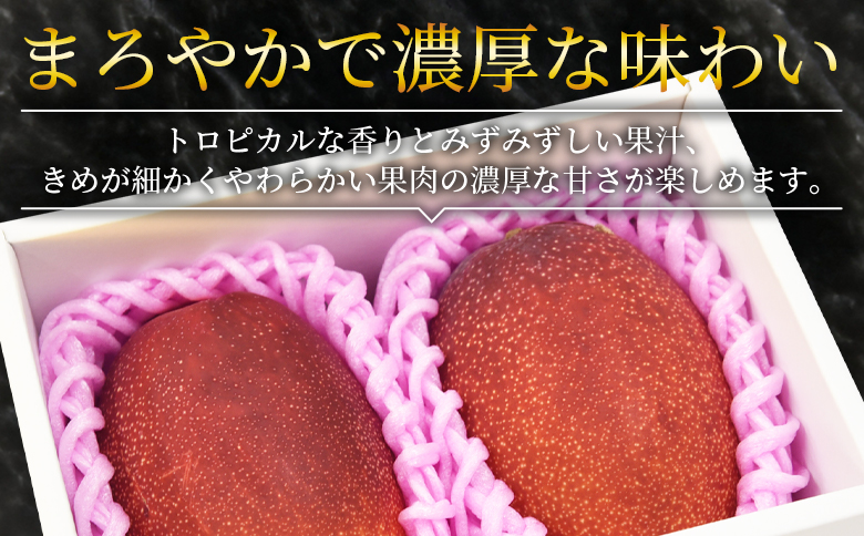 ＜宮崎県産 完熟マンゴー B等級 B4Lサイズ×2玉（合計約1kg）＞2025年4月下旬～2025年6月下旬迄に順次出荷【 完熟マンゴー 完熟 マンゴー フルーツ 果物 くだもの おいしい 美味しい 