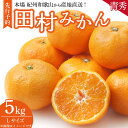 【ふるさと納税】【限定】 【2024年 先行予約】田村みかん／5kg青秀【Lサイズ】／紀州和歌山有田郡湯浅町田村地区産／最高級プレミアムブランドの田村ミカン／紀伊国屋文左衛門本舗(お届け日指定不可)