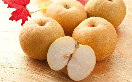 303.【先行予約】新興梨　秀　約4Kg（4～16玉前後） ※10月～11月下旬頃に順次発送予定