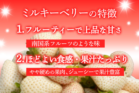 [先行予約] 日光産 白いちご「ミルキーベリー」約300g×2パック 計約600g 【2027年1月中旬から順次発送】 [0969]