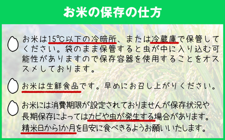 【 定期便 ・全3回 】【先行予約】〈令和6年産〉 福岡県産 ブランド 米「 元気つくし 」 合計 30kg ( 10kg × 3回 ) 毎月お届け NP004-1