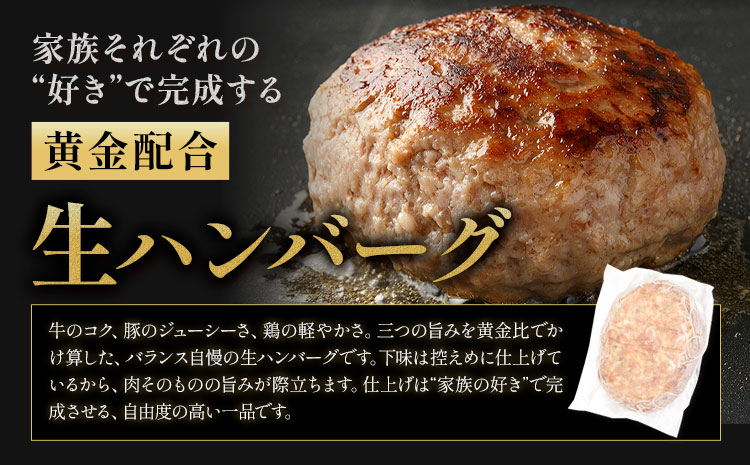 ハンバーグ 鉄板焼き 肉肉ハンバーグ 生ハンバーグ 20個 《1月出荷予定》熊本県 国産 豚肉 ハンバーグ 専門店監修 小分け 肉