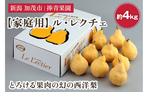 【2026年先行予約】【家庭用】西洋梨 ル・レクチェ 約4kg（9〜12玉） 《11月下旬～順次発送》 ル・レクチエ ルレクチエ ルレクチェ  幻の西洋梨 果実 フルーツ 冬の味覚 加茂市 捧青果園