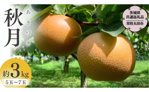 
                  茨城県産 梨 「 秋月 」 約 3kg 5玉 ～ 7玉【茨城県共通返礼品／常陸太田市】 桧山果樹園 農家直送 桧山果樹園 農家直送 フルーツ  甘い 直送 茨城 限定 ギフト 梨 秋月 あきづき 果物 [DU009sa]
                