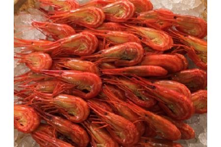 【北海道根室産】 北海しまエビ500g A-50010