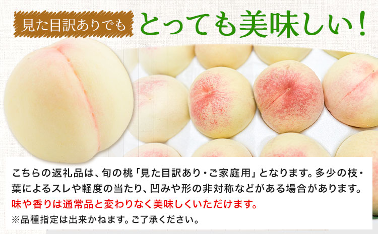 【令和7年度先行予約】桃 旬 旬の桃 ご家庭用 2kg (5～10玉) フルーツファーム岡山《2025年6月下旬-9月中旬頃出荷》岡山県 浅口市 送料無料 フルーツ モモ 果物 青果 旬 国産 岡山県