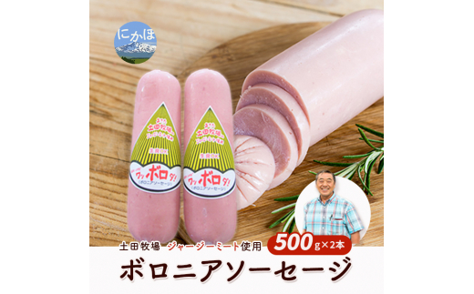 
生食OK！ジャージーミート使用 ボロニアソーセージ500g×2本
