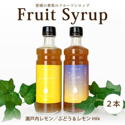 ふるさと納税 松山市 愛媛県産フルーツシロップ2本セット《レモネード・ピオーネ&amp;レモン》(簡易箱入り)