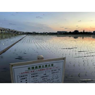 ふるさと納税 幸手市 【幸ヒカリ】栽培期間中農薬・化学肥料不使用　埼玉県幸手市産コシヒカリ玄米10kg |  | 02