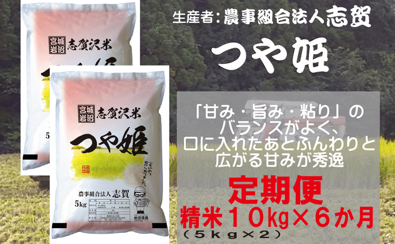 【10月受付再開予定/令和7年産】米 定期便 6ヶ月 つや姫 10kg (5kg×2) 志賀沢米 岩沼産 お米 白米 精米 ブランド米 単一原料米 5キロ 10キロ こめ コメ おこめ ご飯 ライス つやひめ 宮城県産つや姫 宮城県 岩沼市