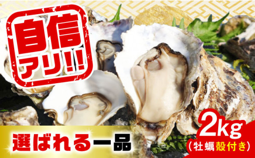 【4月26日（日）着】特選 牡蠣三昧！【生牡蠣】広島牡蠣 殻付き 2kg (加熱用) 牡蠣 かき カキ 生牡蠣 殻付き 広島 江田島市/株式会社門林水産[XAO008] 牡蠣 むき身 殻付き 殻付 殻 かき カキ 生牡蠣 広島牡蠣 オイスター カキフライ 魚介類 魚介 貝類 海鮮 広島県産 国産 産地直送 贈答 ギフト 特産品