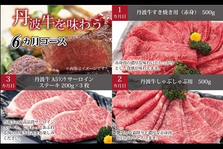 【6回定期便】丹波牛を味わう定期便 6カ月連続 定期便 ( 定期便 和牛 黒毛和牛 京都 丹波 丹波牛 牛肉 すき焼き 焼肉 しゃぶしゃぶ 鍋 ステーキ A5 サーロイン ローストビーフ ハンバーグ 