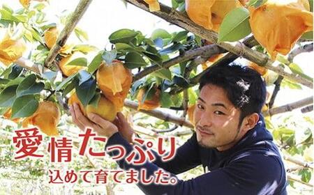 《先行予約》いわき市産梨　幸水5kg（約11～15個）