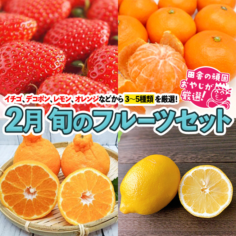 
旬のフルーツセット 2月号【令和7年2月より発送開始】 田舎の頑固おやじが厳選！
