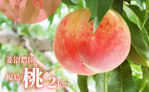 No.2405【先行予約】福島 桃　約2kg【2024年発送】