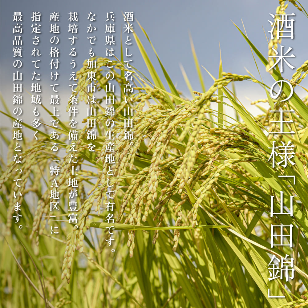 玉川 大吟醸 720ml 木下酒造 加東市特A地区産 山田錦使用 化粧箱入[ 日本酒 酒 お酒 四合瓶 贈答品  ] アルコール 家飲み 宅飲み 晩酌 