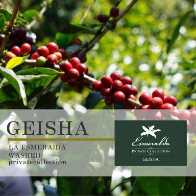 ふるさと納税 豊川市 コーヒー豆 ゲイシャ エスメラルダ農園 ウォッシュド 浅煎り 1kg (豆のまま) |  | 01