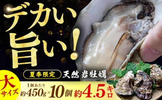 【先行予約 / 2027年6月下旬より順次発送】 若狭湾 生食用 天然岩牡蠣 大10個（軍手、牡蠣ナイフ付き） 小浜市 / 加福鮮魚【配送不可地域：北海道・沖縄・離島】 [BFBC010]