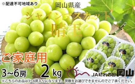 ご家庭用 シャインマスカット 晴王 3～6房 約2kg ｜ シャインマスカット