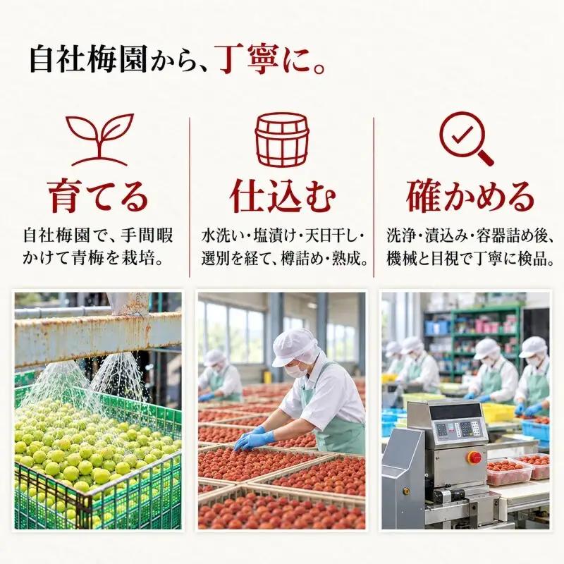 梅干し うすしお しそ漬 食べ比べ 紅映梅の梅干し