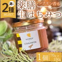 【ふるさと納税】＜新登場・選べる容量＞薬膳ハチミツ SPICY BEE 3(スパイシービースリー)(1個/70g~150g)生はちみつ はちみつ ハチミツ 薬膳 シナモン ドレッシング カクテル デザート ジャム フルーツ 加工品 スイーツ 健康 【m60-01】【blanc】