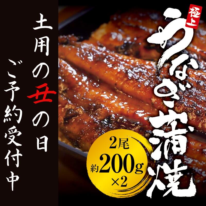【ふるさと納税】 土用の丑の日予約 国産うなぎ蒲焼 2尾（約400g） 創業100年以上続く老舗 紀州備長炭でじっくり焼き上げた専門店極上の味 （タレ・山椒付き） 予約受付/ うなぎ ウナギ 鰻 蒲焼 国産 ふるさと納税
