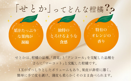 【先行予約】みかんの「大トロ」佐賀産かんきつ・せとか 約3kg(7-12玉) / ふるさと納税 佐賀 フルーツ濃厚 甘い 酸味 大町 贈答 ギフト 贈り物