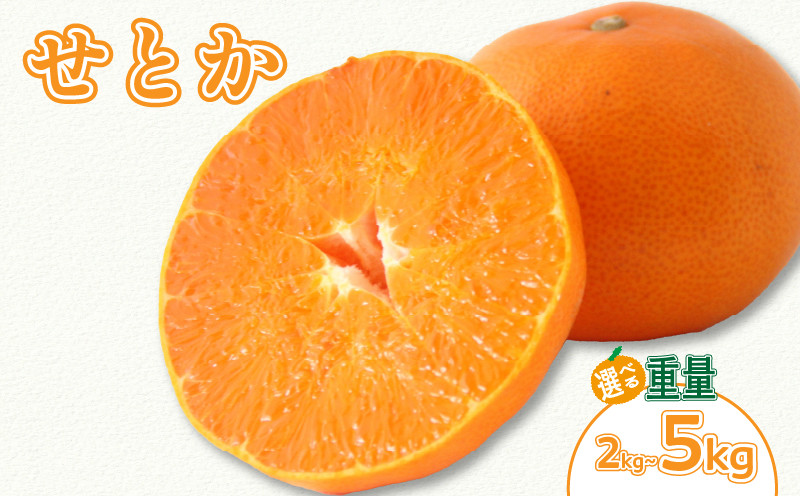 
            【3月上旬より発送】愛媛県 みかん せとか 2kg/5kg | 数量選択可 せとか みかん 蜜柑 柑橘 数量限定 愛媛県産 松山市 中島 低農薬 愛媛県 松山市
          