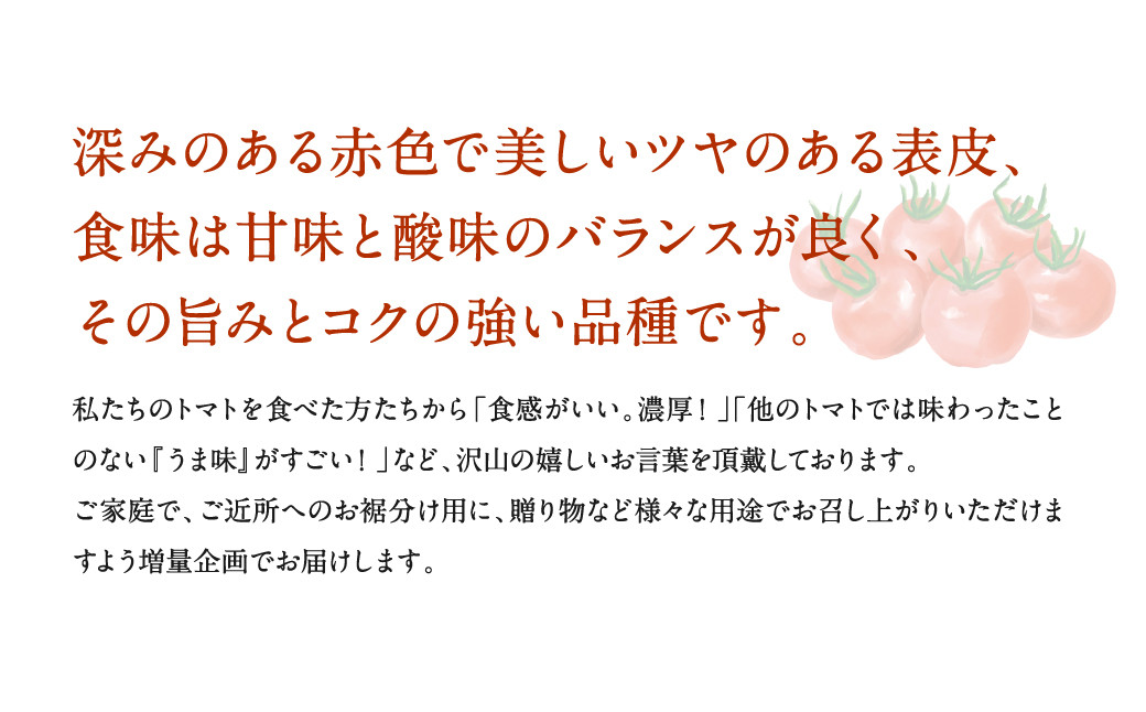 ご家庭やこ近所へのお裾分け用、贈り物など、様々な用途でお楽しみください。