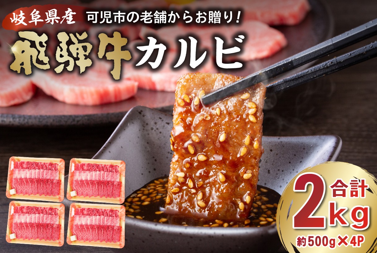 
            飛騨牛 カルビ 2kg （500g×4） 【岐阜県 可児市 牛肉 冷凍 国産牛 グルメ お中元 御中元 お歳暮 御歳暮 和牛 焼肉 肉 牛肉 カルビ 焼肉用  BBQ バーベキュー 小分け 肉のひぐち】
          
